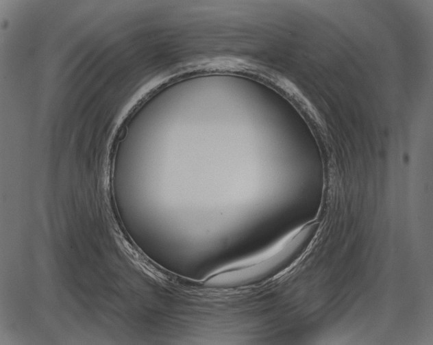 X0000086071232200704091227