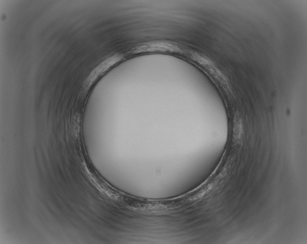 X0000086071233200704091227