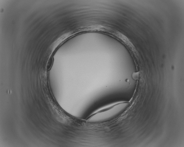 X0000086071234200704091227