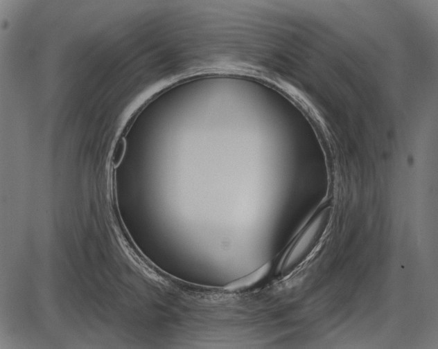 X0000086071238200704091227