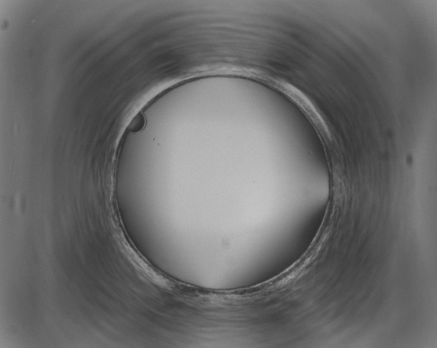 X0000086071244200704091227