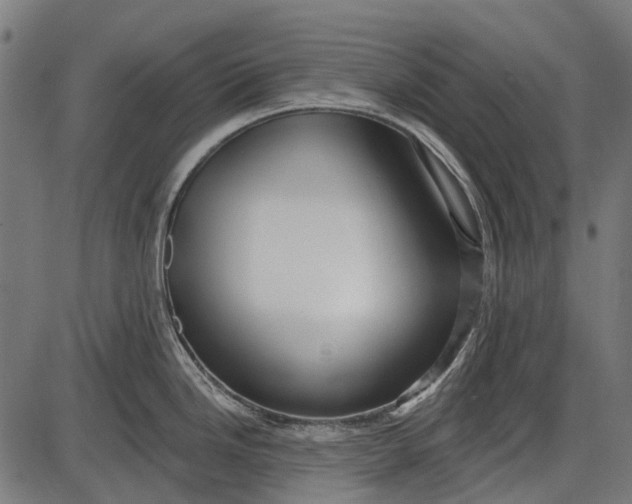 X0000086071246200704091227
