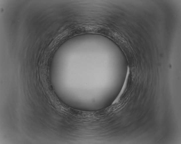 X0000086071249200704091226