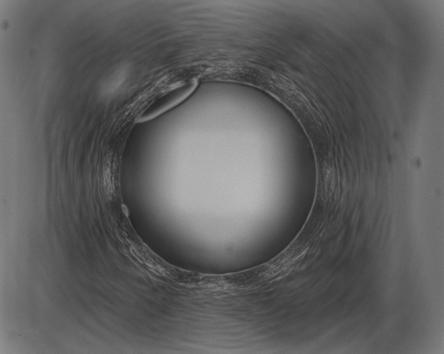 X0000086071250200704091226