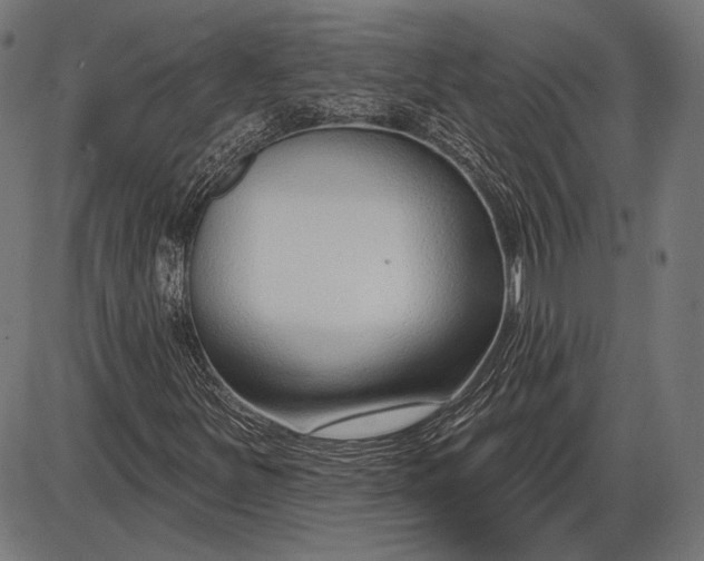 X0000086071251200704091226