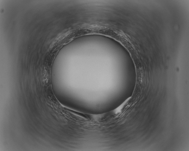 X0000086071253200704091226