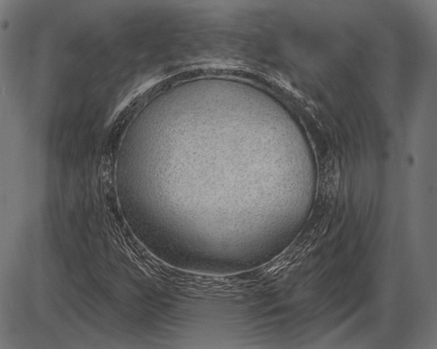 X0000086071255200704091226