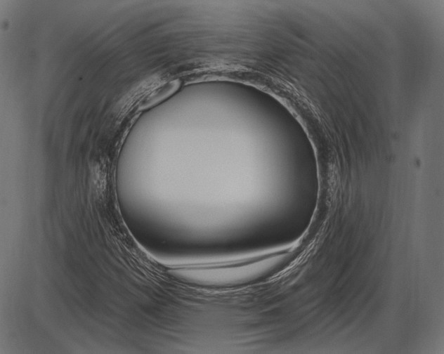 X0000086071257200704091226