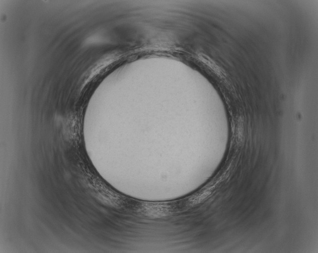 X0000086071258200704091226
