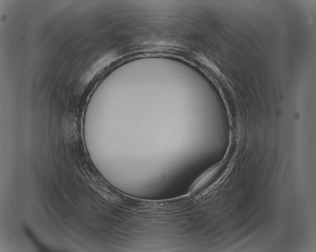 X0000086071259200704091226