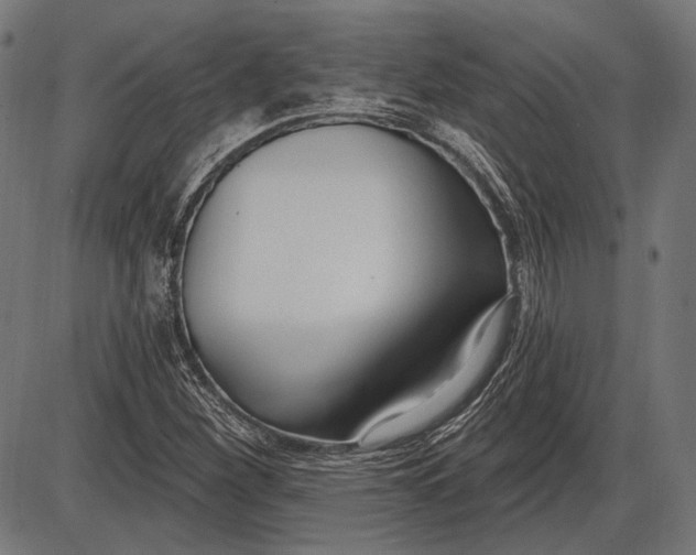 X0000086071260200704091226