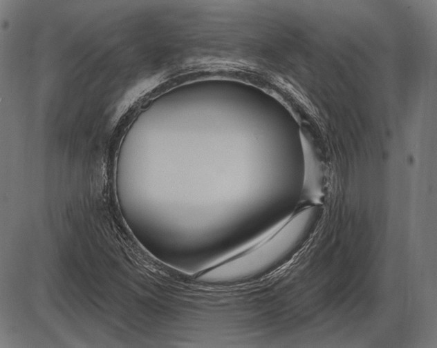 X0000086071261200704091226