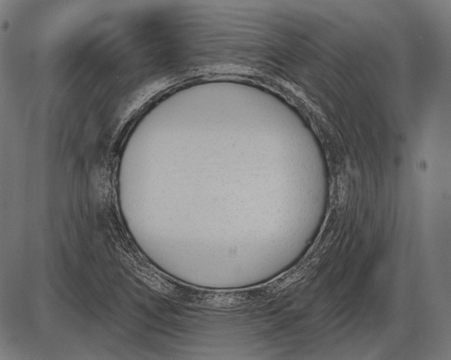 X0000086071266200704091226
