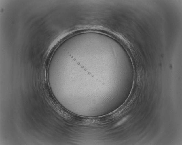X0000086071271200704091226