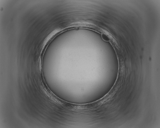 X0000086071275200704091226