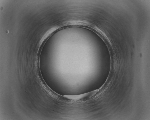X0000086071277200704091226