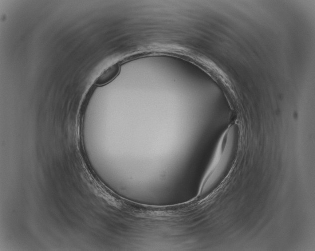 X0000086071280200704091226