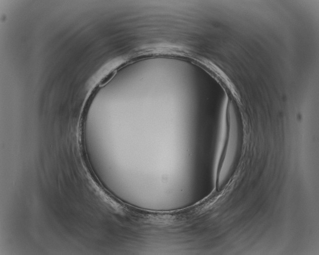 X0000086071285200704091226