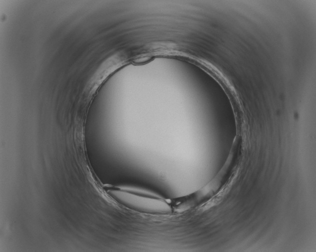 X0000086071289200704091226