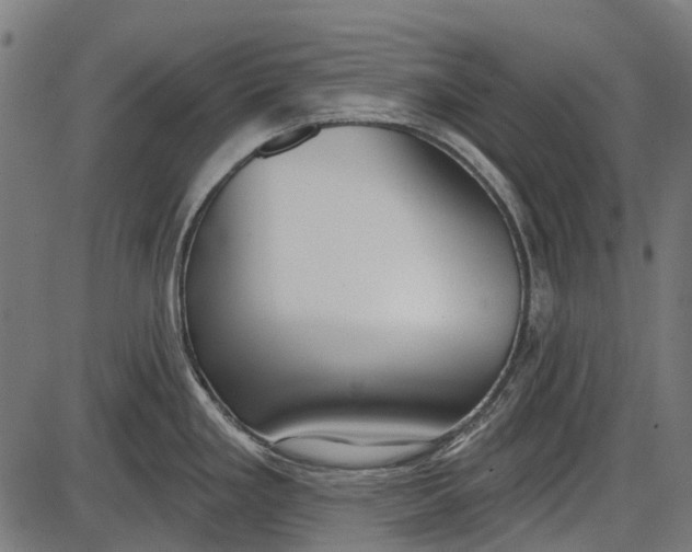 X0000086071293200704091226