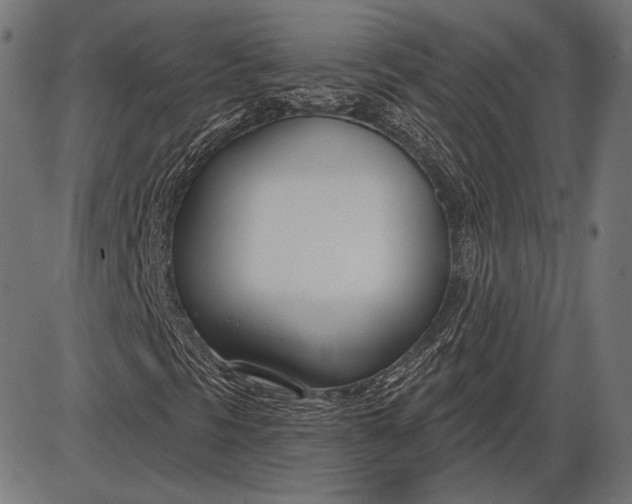 X0000086071297200704091225