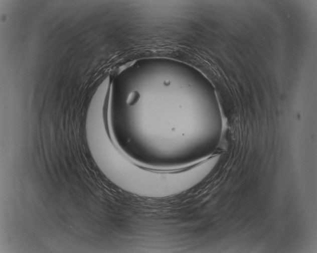 X0000086071298200704091225