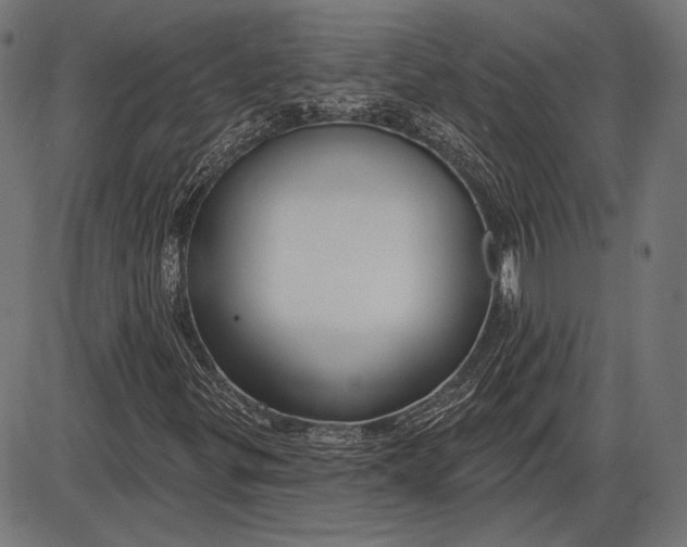 X0000086071299200704091225