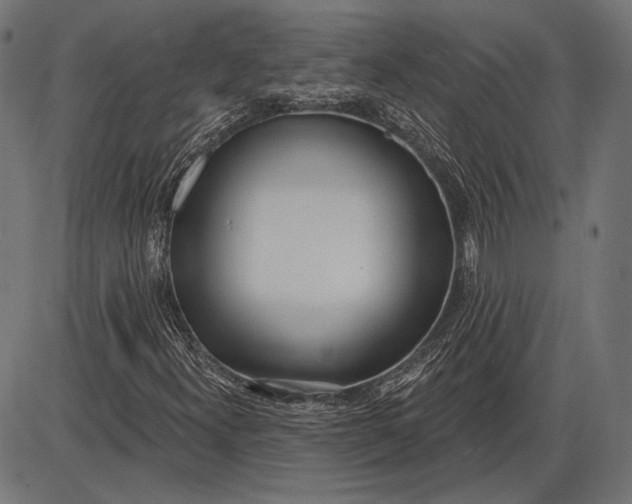 X0000086071300200704091225