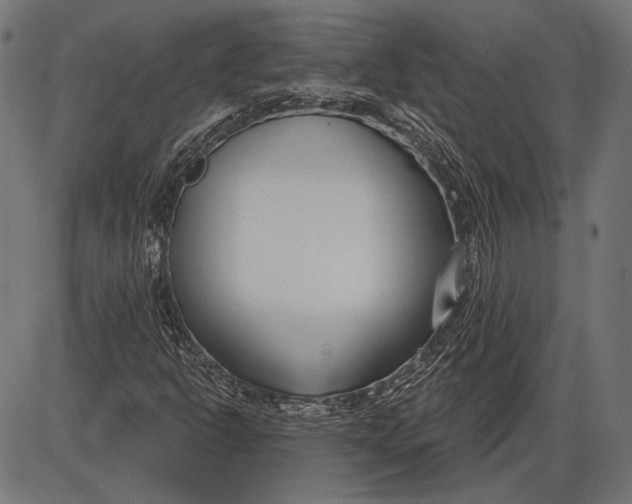 X0000086071302200704091225