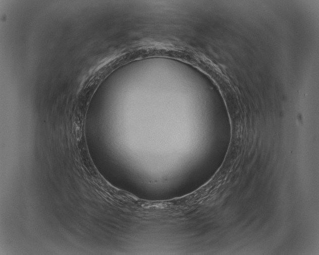 X0000086071303200704091225