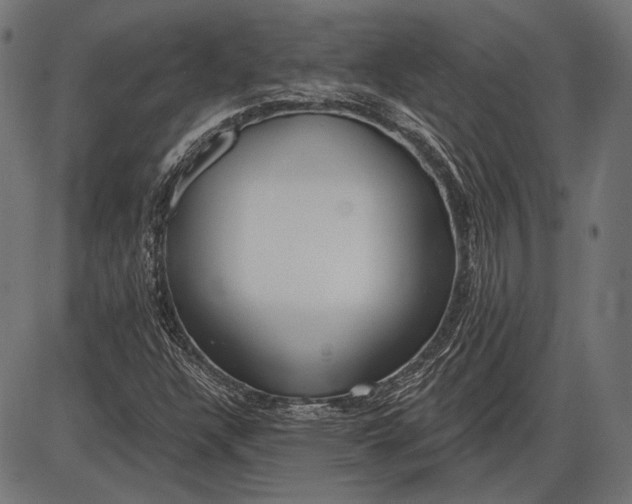 X0000086071304200704091225