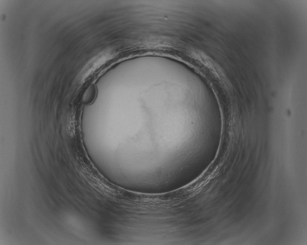 X0000086071306200704091225