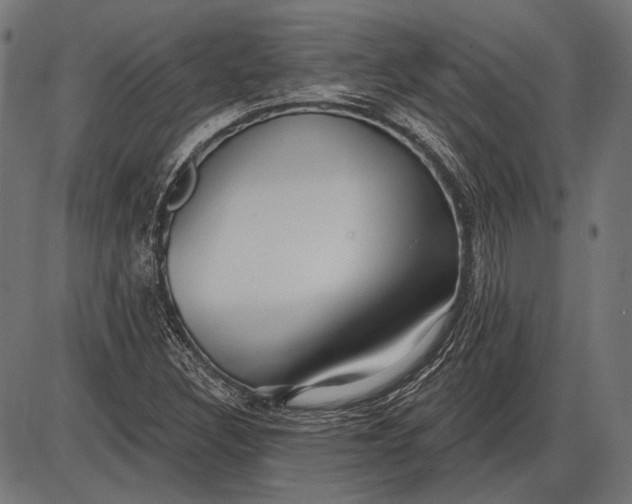 X0000086071308200704091225