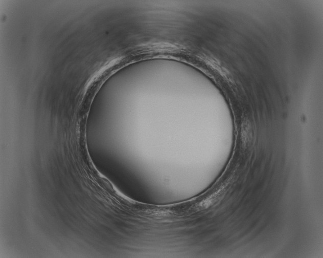 X0000086071309200704091225