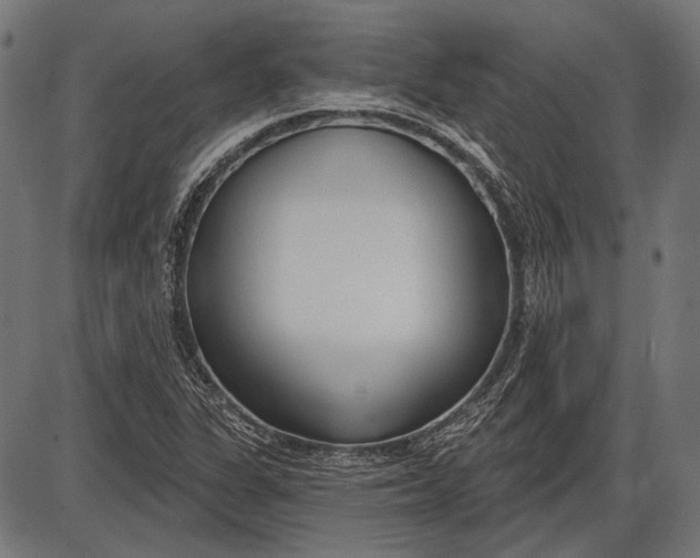 X0000086071311200704091225