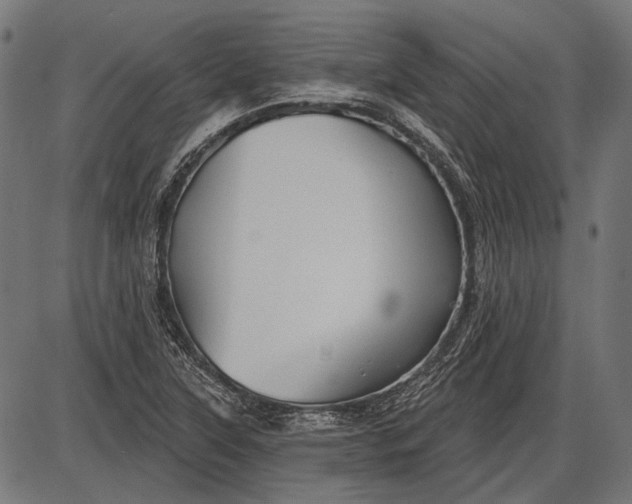 X0000086071315200704091225