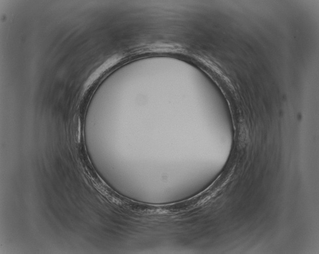 X0000086071317200704091225