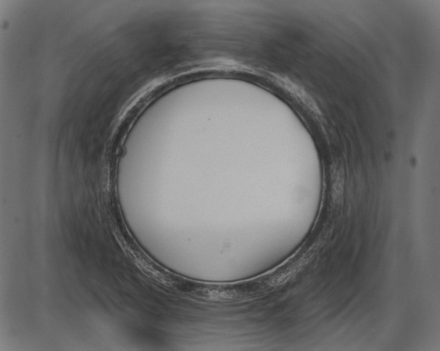 X0000086071318200704091225
