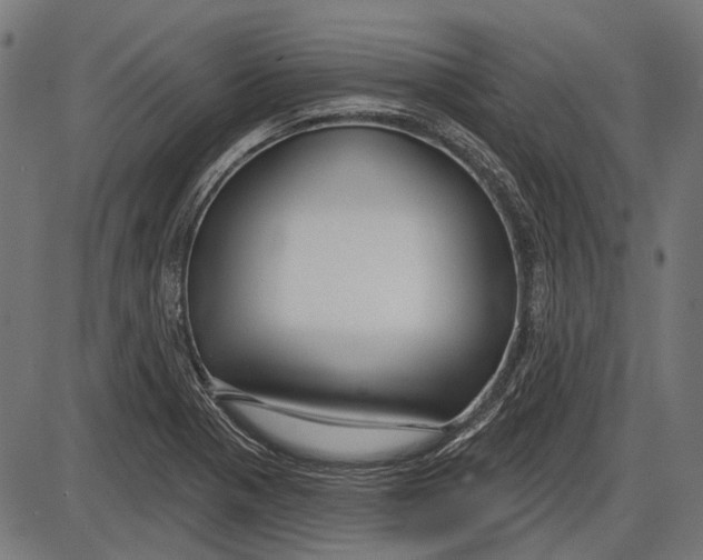 X0000086071321200704091225