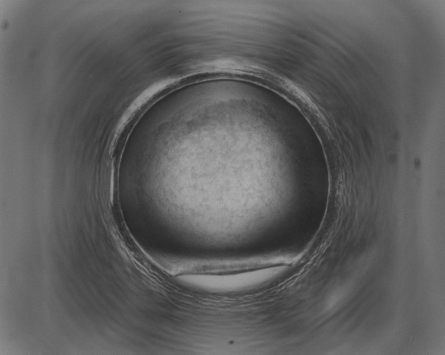 X0000086071323200704091225
