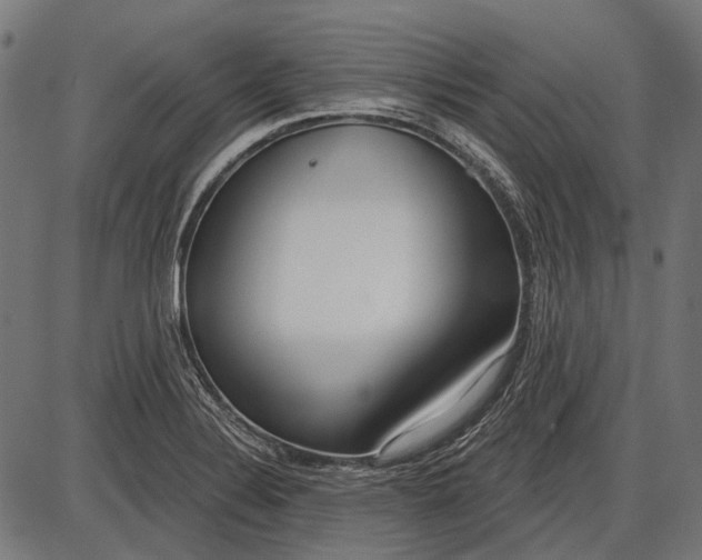 X0000086071324200704091225