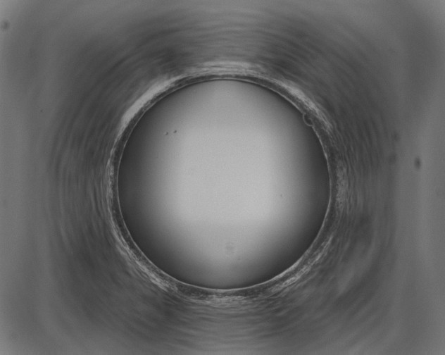 X0000086071325200704091225