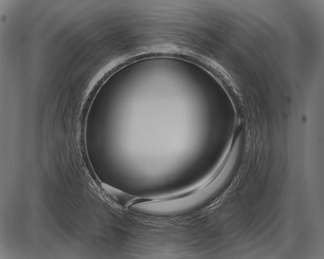 X0000086071326200704091225