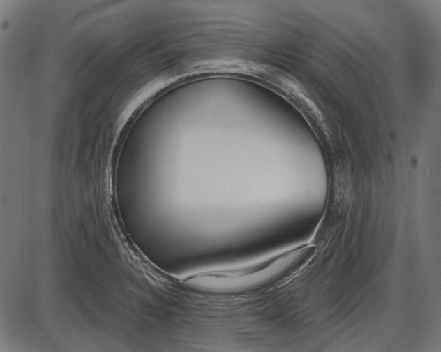 X0000086071328200704091225