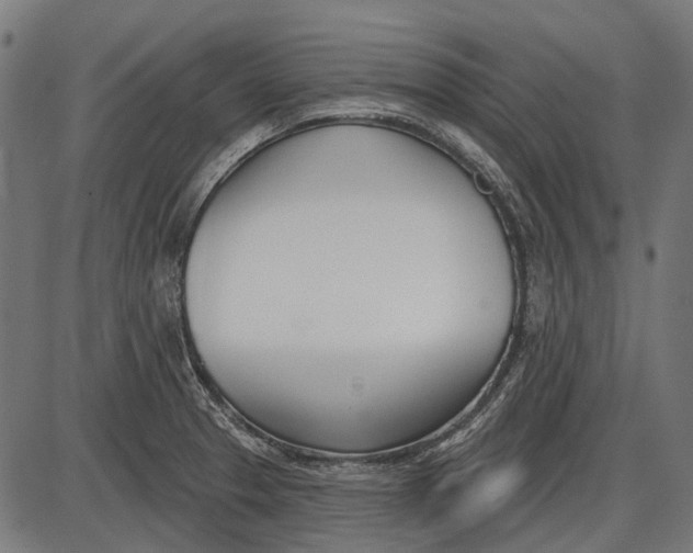 X0000086071329200704091225