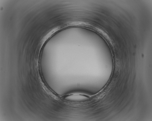X0000086071330200704091225
