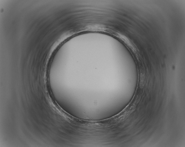 X0000086071331200704091225