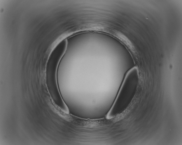 X0000086071332200704091225