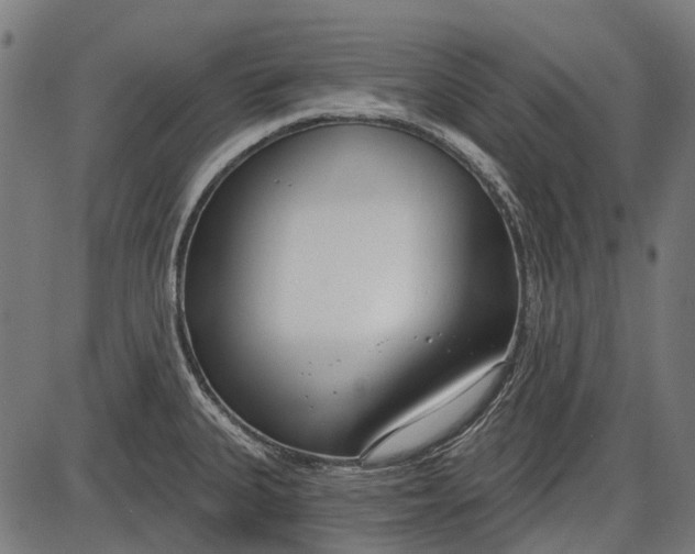 X0000086071335200704091225