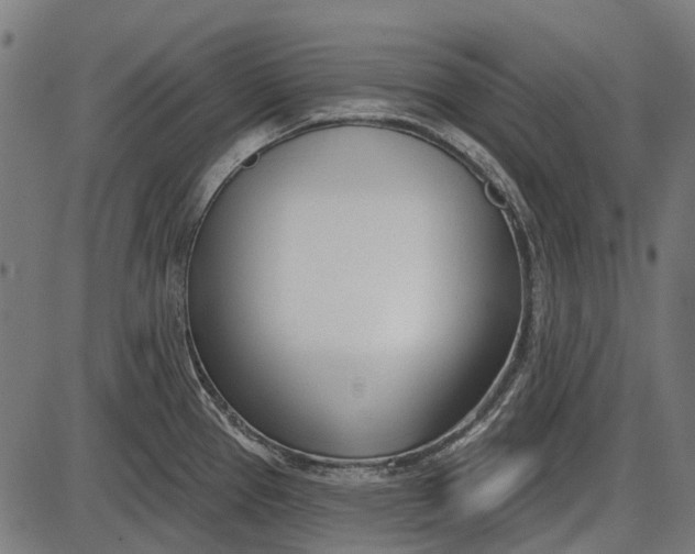X0000086071337200704091225